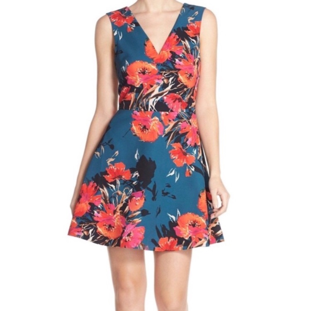 Beautiful Felicity and Coco Dress